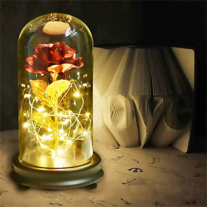 Večna Bajkovita Ruža | LEDROSE