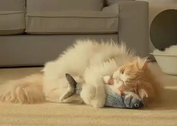 Interaktivna Riba Igračka za Ljubimce