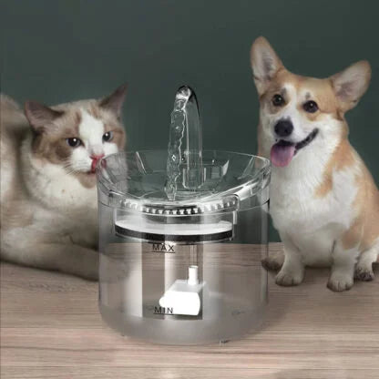 Pojilica za Kućne Ljubimce sa Filterom